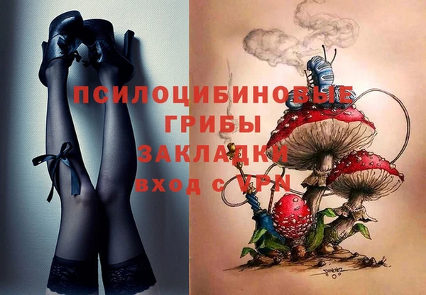 ПСИЛОЦИБИНОВЫЕ ГРИБЫ Алзамай