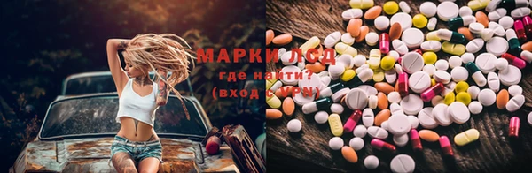 PSILOCYBIN Алексеевка
