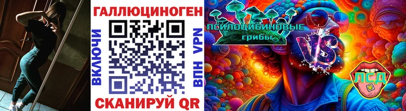 Псилоцибиновые грибы Psilocybe Арамиль